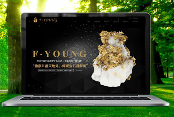 �Ϸʸ������ﱦʯ